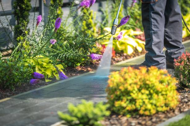 Trusted Shiprock, NM  Pressure Washing Services Experts